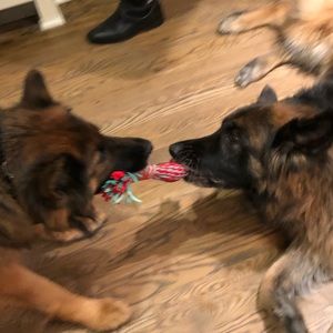 Meet your Posher, Kate